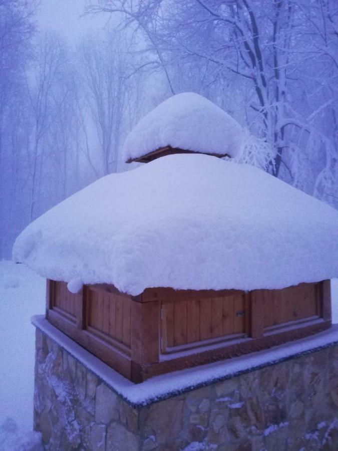 Chata Korenny Vrch Pezinska Baba بيزينوك المظهر الخارجي الصورة