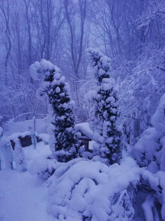Chata Korenny Vrch Pezinska Baba بيزينوك المظهر الخارجي الصورة